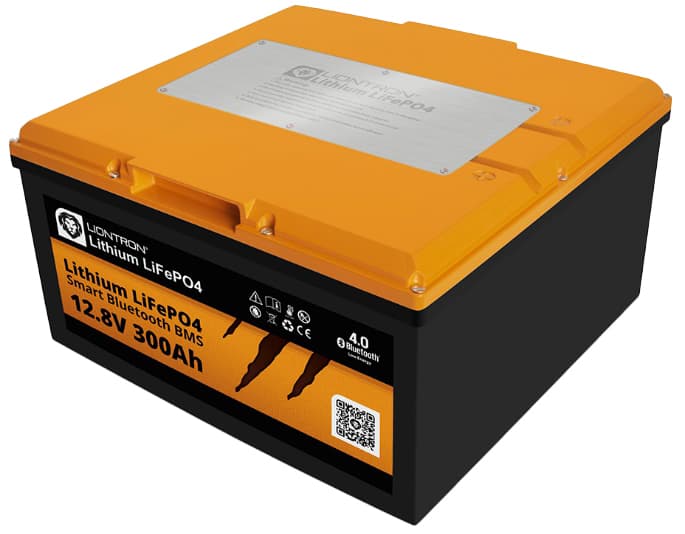LIONTRON LiFePO4 batterie sous siège pour mobil-home Smart BMS 12.8V, 300Ah