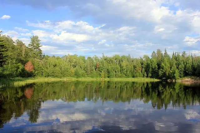 Les erreurs courantes des voyageurs connectés et comment les éviter